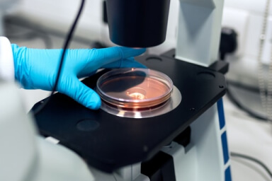 صفحه اصلی Diagnostic Lab Case Gallery 4